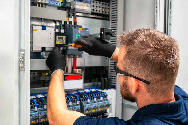Best Licensed Electrician  in Berrien Springs, MI