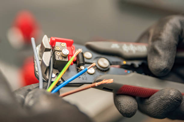 Best Electrical System Inspection  in Berrien Springs, MI