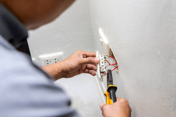 Best Electrician Near Me  in Berrien Springs, MI