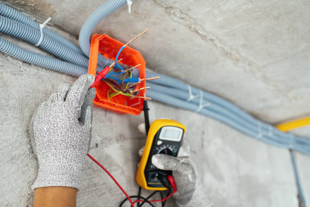 Best 24-Hour Electrician  in Berrien Springs, MI